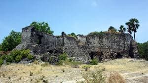 Jaffna’s Wild Frontier: The Untamed Delft Island